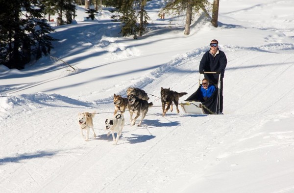 Husky Ride